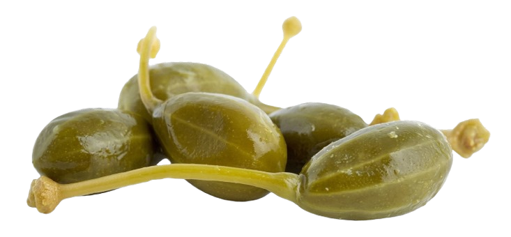 Moroccan caperberries wholesale 150kg drums FOB Casablanca