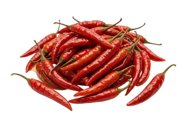 Moroccan piri piri peppers in vinegar wholesale private label